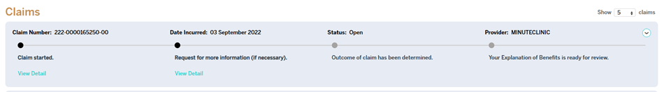 claim-status-example